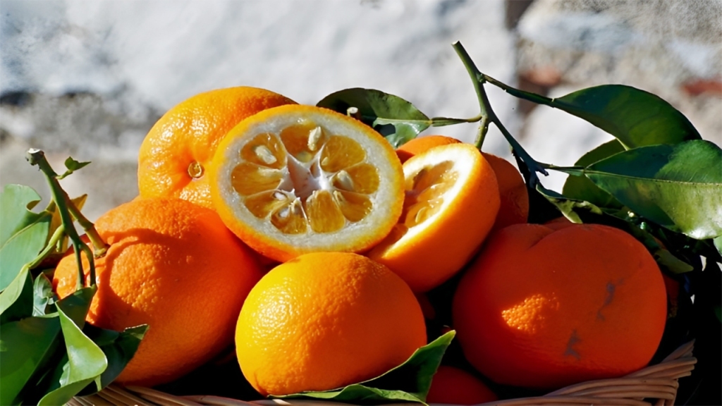 Bigarade Orange (Citrus Bioflavonoids) - Natural weight loss supplement ingredient for enhanced metabolism.