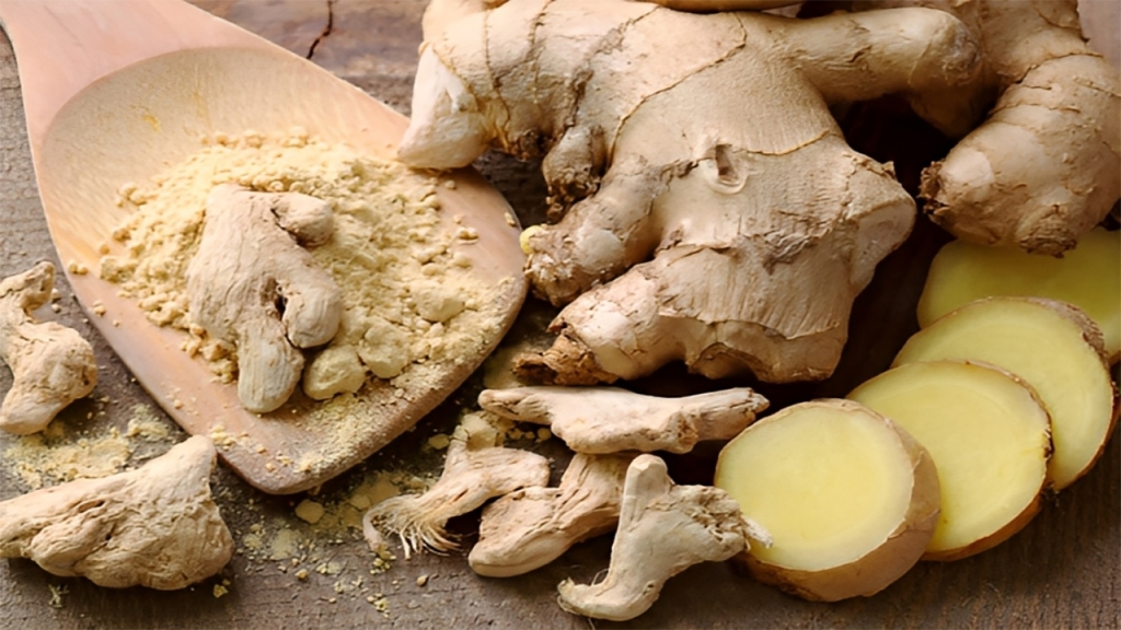 Alpilean Weight Loss Supplement Ingredient: Ginger Rhizome (Ginger Root) - Natural metabolism booster.